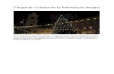 Târgul de Crăciun de La Salzburg În Imagini
