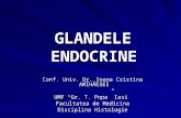 Curs III Glandele Endocrine.pptcurs