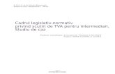 Cadru Legislativ-normativ Privind Scutiri de TVA Pentru Intermediri, Studiu de Caz