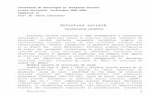 Scoala Doctorala-Structura Sociala M Larionescu [1]