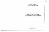 Analiza matematica Cristina Bercia.pdf