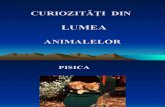 Curio Zit at Id in Lumea Animal El Or