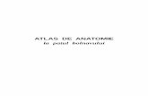 CD Atlas de anatomie la patul bolnavului.pdf