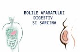 sistemul digestiv si sarcina.pptx