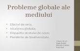 Probleme Globale Ale Mediului