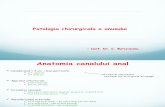 Curs Patologia Canalului Anal