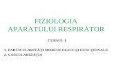 C12 Respirator 1