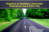 Programul de Reabilitare a Drumurilor Nationale Pe Raza