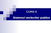 CURS 5_F P
