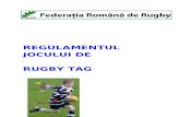 Regulament Rugby