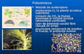 1Fiziologia plantelor (olimp.)