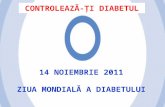 Ziua Diabetului 2011 (2)