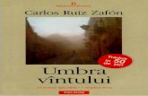 Carlos Ruiz Zafon - Umbra Vîntului