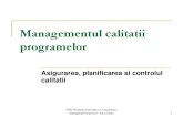 Curs 8 Managementul Calitatii