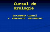 Curs 1 Urologie