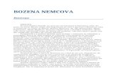 Bozena Nemcova-Bunicuta 0.1 04