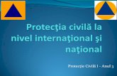 2 Protectia Civila La Nivel National - Redus
