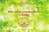 Atlas etnobotanic trilingv