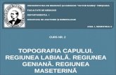 184654843 Curs 2 Topografia Capului Regiunea Labiala Geniana Maseterina