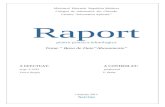 Fileshare.ro RaportPractica2015