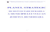 Municipiu Vulcan - Plan Strategic de Dezvoltare