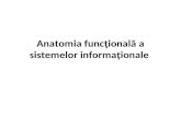 Anatomia Sistemelor Informationale