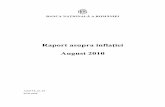 Raport Asupra Inflatie _ 08_2010