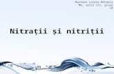 nitrati 2010