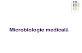 Microbiologie Curs 1 V