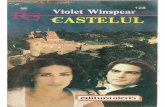 Castelul-Violet W.