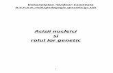 FBAP - Acizii Nucleici Si Rolul Lor Genetic