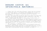 Anonim-Edgar Cayce Si Spiritele Naturii 10