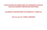 Glandele endocrine si ap genital 10.pdf