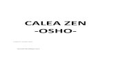CALEA ZEN, Calea Paradoxului - OSHO