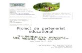 parteneriat educational pt mediu