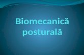 Biomecanica posturala.pptx