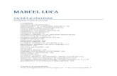 Marcel Luca-Tactica Si Strategie 1.0 10h