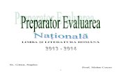 210223289 Preparator Evaluarea Nationala 2014