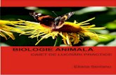 Suport Lucrari Practice Biologie Animala