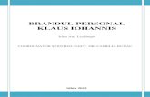 Brandul Personal Klaus Iohannis - The Personal Brand Klaus Iohannis