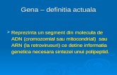 Genetica Curs, 04 Noiembrie. Gena