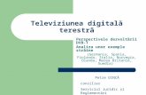 Televiziunea digitală terestră Perspectivele dezvoltării DVB-T Analiza unor exemple străine (Germania, Spania, Finlanda, Italia, Norvegia, Olanda, Marea.