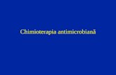 Chimioterapia antimicrobiană. Bacterii gram pozitive aerobe COCI grămezi – Staphylococcus În lanţuri - streptococi Diplo şi lanţuri - - S. pneumoniae.