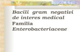 Bacili gram negativi de interes medical Familia Enterobacteriaceae.