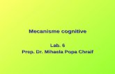 Mecanisme cognitive Lab. 6 Prep. Dr. Mihaela Popa Chraif.