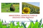1 MINISTERUL AGRICULTURII ŞI DEZVOLTĂRII RURALE Modalităţi de asigurare în agricultură împotriva calamităţilor naturale.