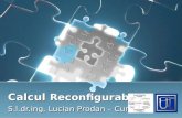 Calcul Reconfigurabil S.l.dr.ing. Lucian Prodan – Curs 1.