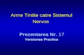 Arme Tintite catre Sistemul Nervos Prezentarea Nr. 17 Versiunea Practica.
