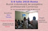 5-9 Iulie 2010 Roma Bursă individuală de pregătire profesională Comenius Beneficiar: Belu Tamara Profesor de Istorie la Grupul Şcolar de Transporturi Auto.
