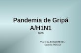 Pandemia  d e Grip ă A/H1N1 2009 V iorel ALEXANDRESCU D aniela  PI Ţ IGOI